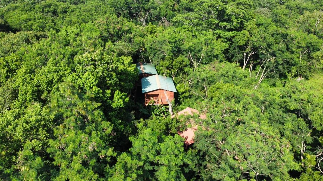 Tree House Hostel Sigiriya Exterior photo