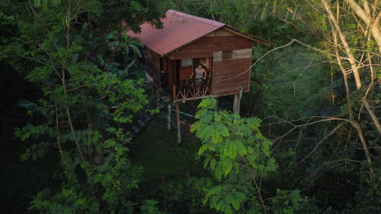 Tree House Hostel Sigiriya Exterior photo