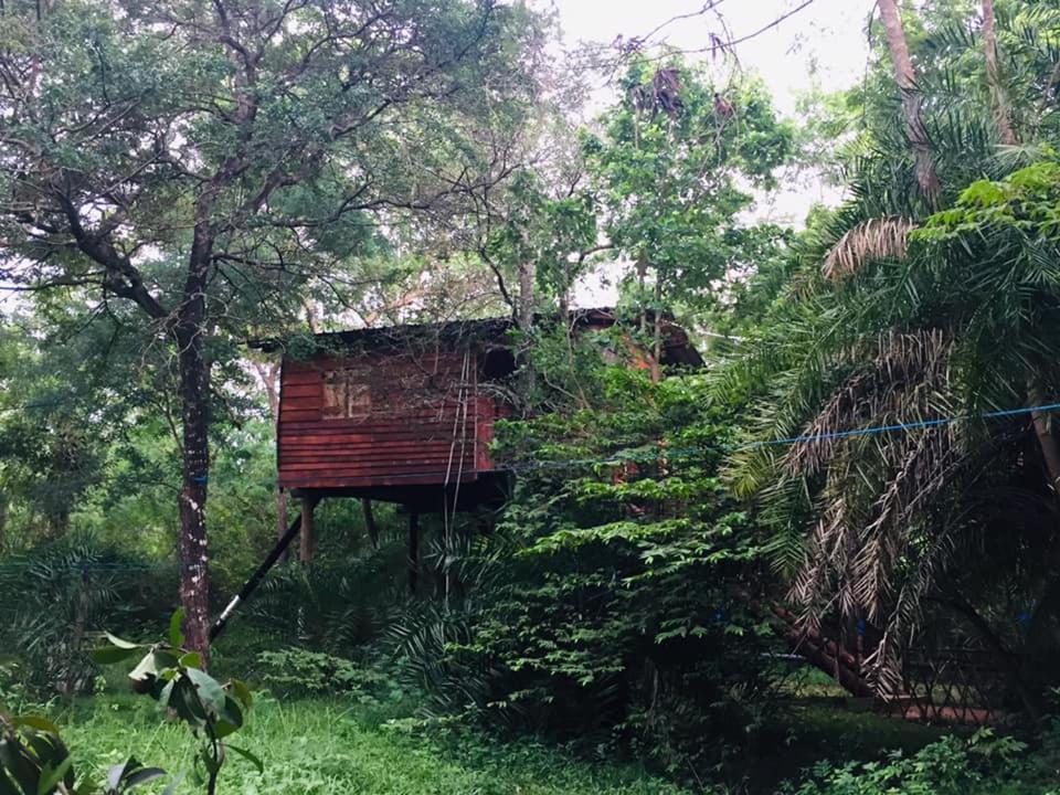 Tree House Hostel Sigiriya Exterior photo